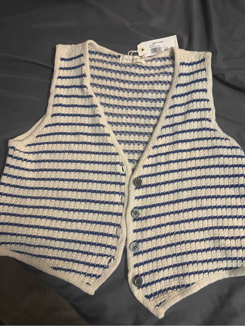By Together Cream and Blue Striped Knit Button Vest